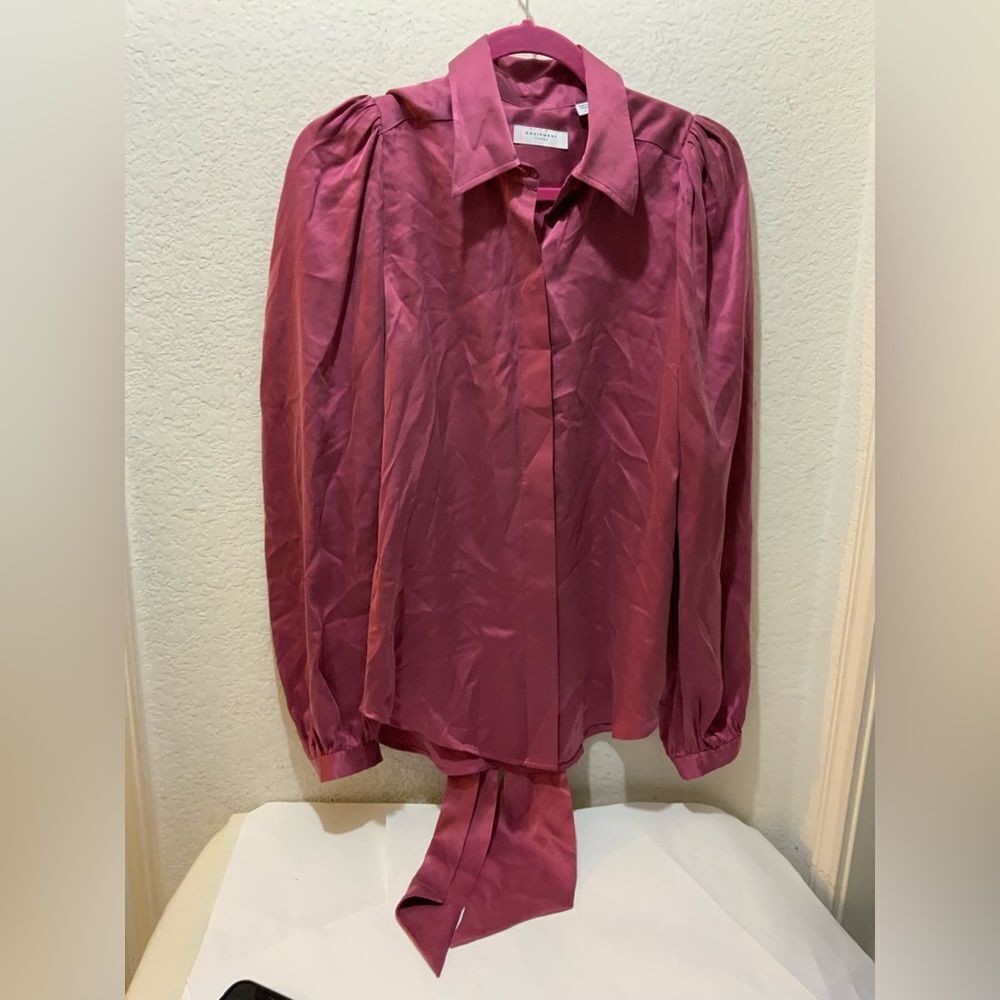 Equipment XSmall Pink Brushed 100% Silk Long Sleeve Button Up Blouse‎